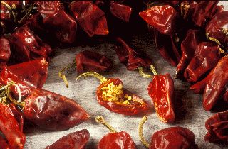 Les piments de la harissa, en Tunisie