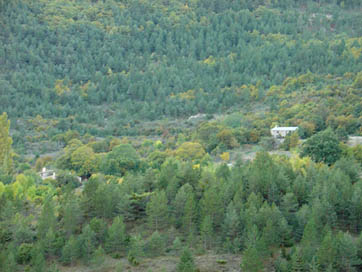 Deux des quatre maisons, perdues parmi les arbres