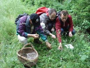 Récolte des plantes pour le repas du week-end, au bord de la Neirigue, dans le canton de Fribourg