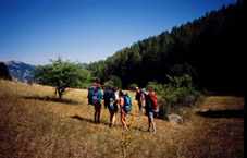 Dans les montagnes ensoleill&eacute;es de Haute Provence