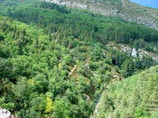 For&ecirc;ts de ch&ecirc;nes et de pins sylvestres, coteaux calcaires, gorges profondes : plusieurs centaines de kilom&egrave;tres carr&eacute;s s'offrent &agrave; nos explorations 