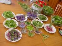 Une r&eacute;colte color&eacute;e  pour des salades fleuries
