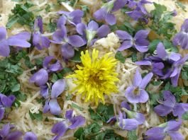 Salade sauvage pissenlit et violette