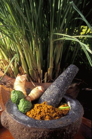 Les ingr&eacute;dients d'une p&acirc;te de curry vert, &agrave; Bangkok