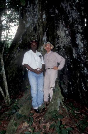 Le Professeur N'Kongmenek et Fran&ccedil;ois Couplan dans la for&ecirc;t du sud-Cameroun